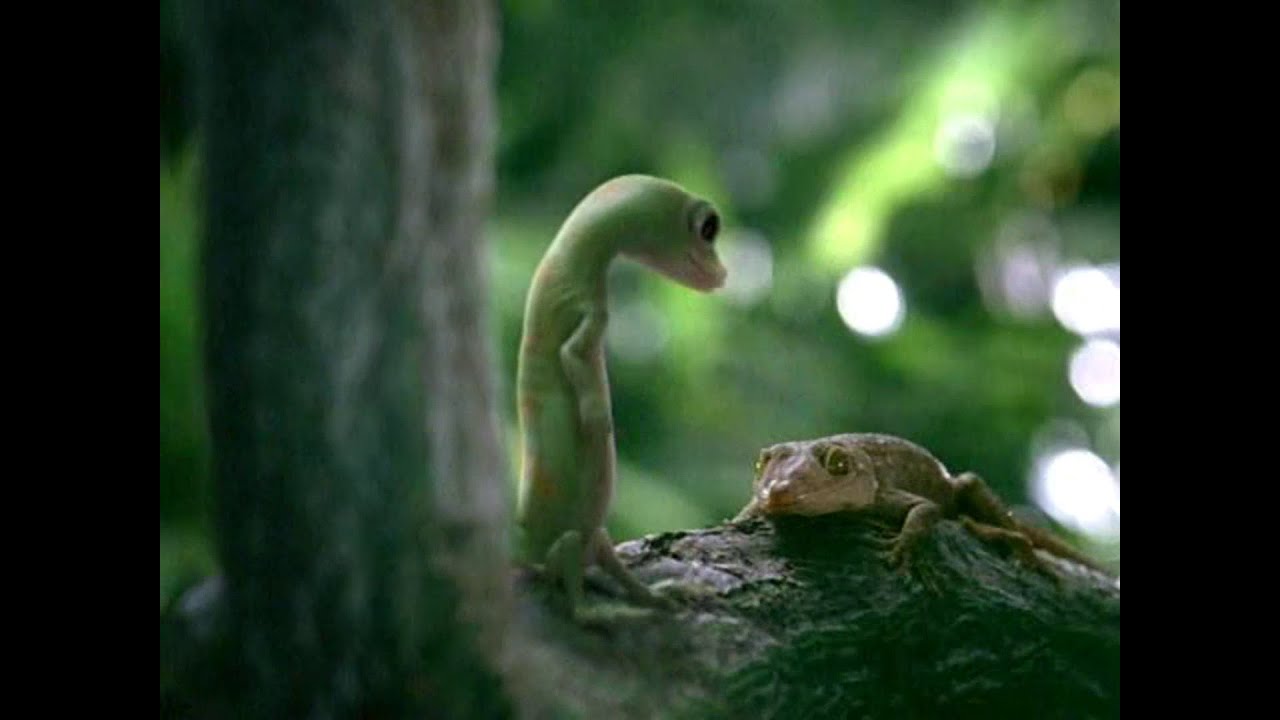 WNBC (NBC) commercials [March 10, 2006]