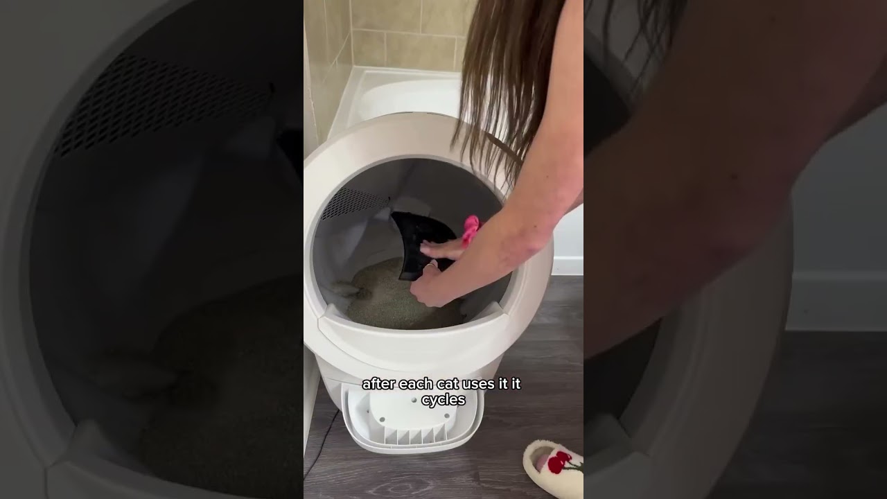 4 Reasons You'll Love Litter-Robot  #catcare #whisker