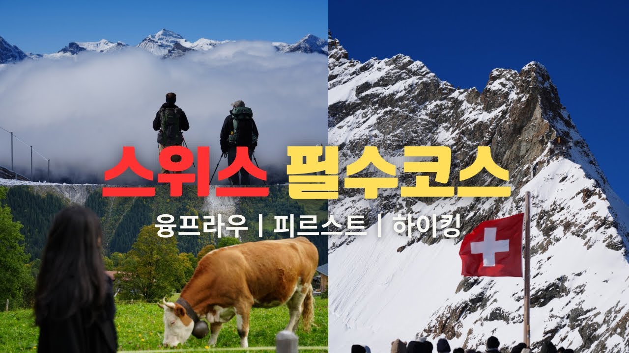 스위스여행 필수코스 융프라우 그리고 피르스트 하이킹까지