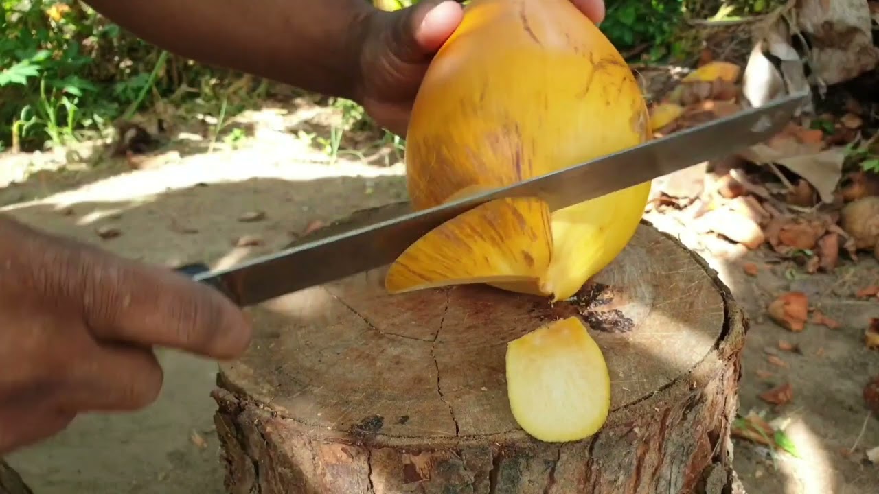 King Coconut Cutting Skill.Cutting Skill.Yellow Coconut Cutting Skill.Short Video.