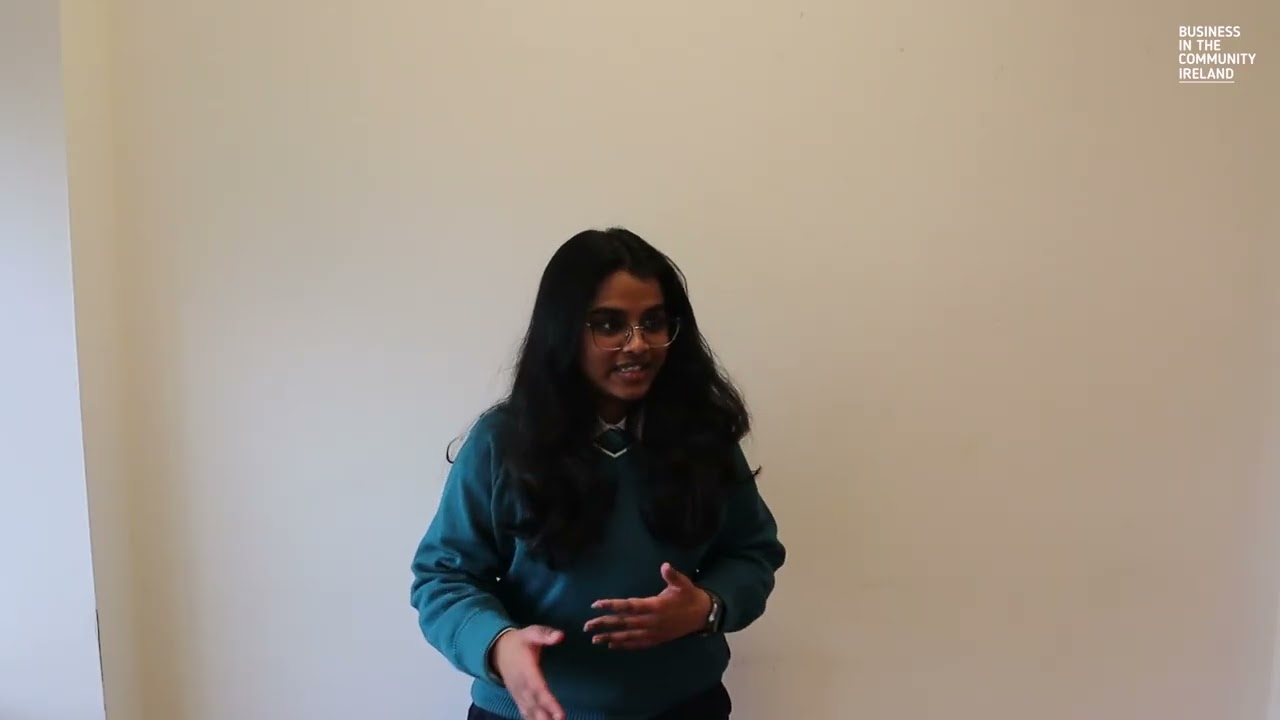 Mentoring Programme 2025