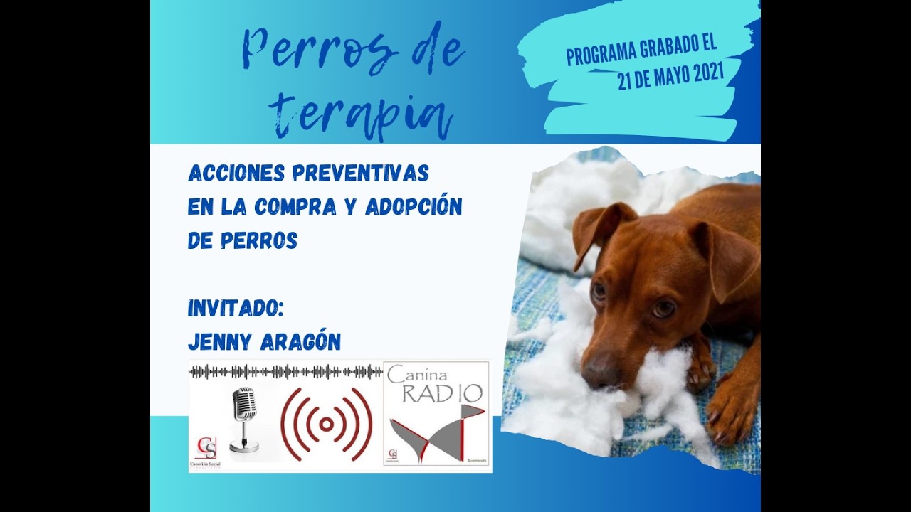 Acciones preventivas en la compra y adopción de perros