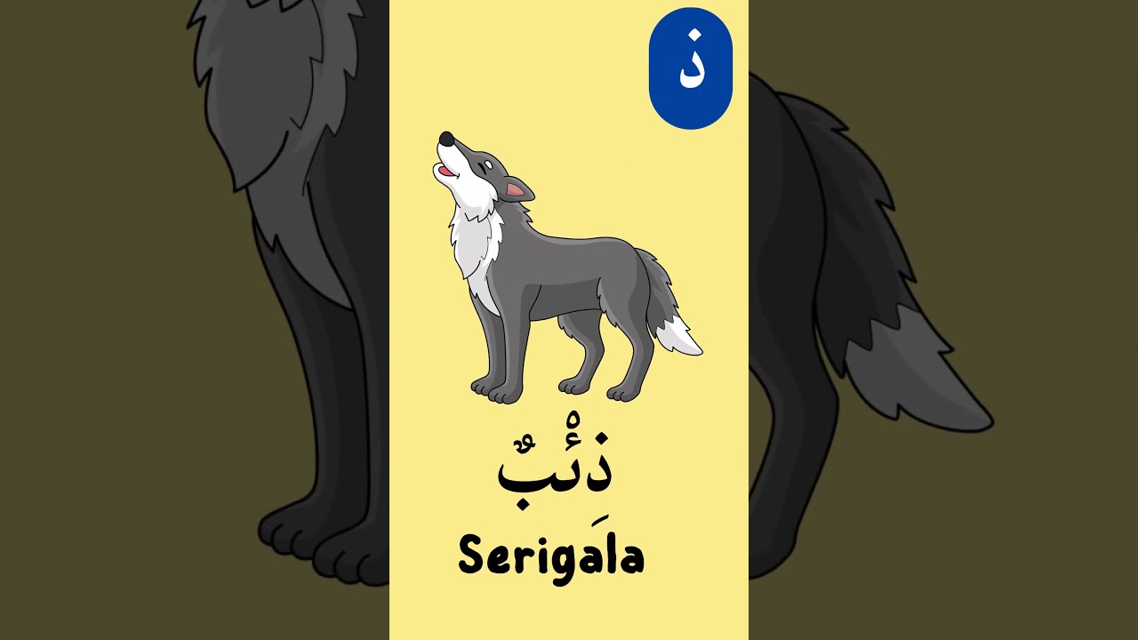 Bahasa Arab Dasar: Mufradat dari Huruf Dzal