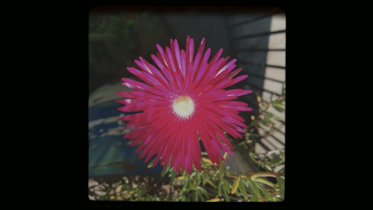 Fede Lion - Parte del Todo ( Instrumental)