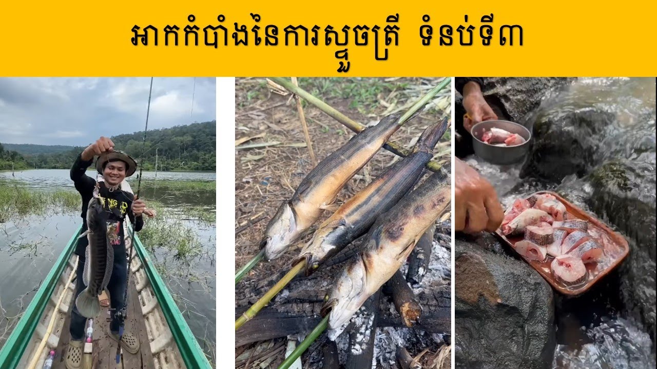 អាថ៌កំបាំងនៃការស្ទួចត្រីដ៏គួរឱ្យភ្ញាក់ផ្អើល នៅទំនប់ទី៣