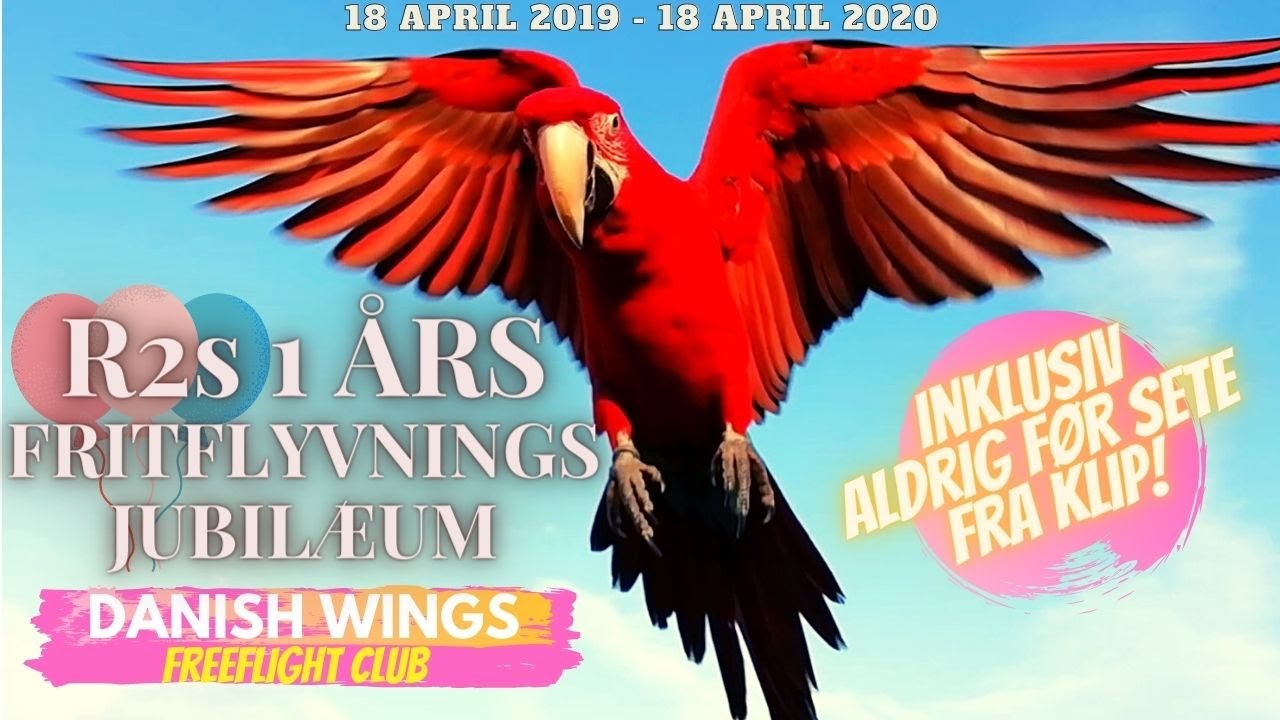 R2s 1 års fritflyvnings jubilæum/Tilbageblik på året der er gået. D. 18 april 2019 - 18 April 2020