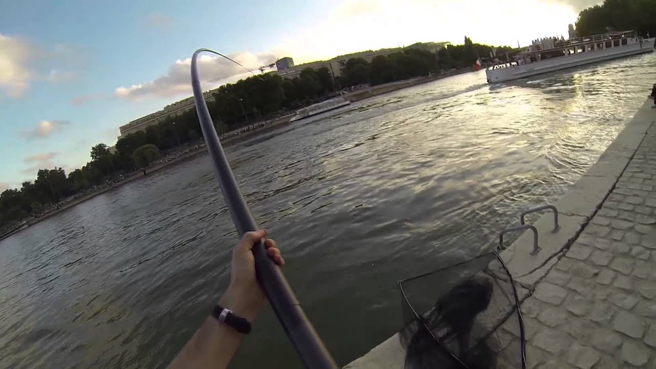 [Photofish.fr] Petits, petits, petits !