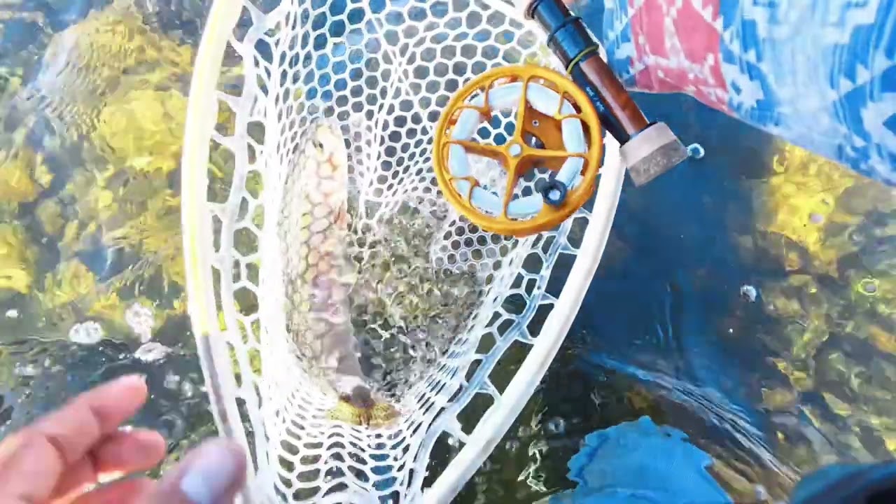 Maxcatch competition nymphing rod