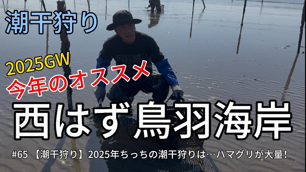 【潮干狩り】2025GW 今年のオススメ【西はず鳥羽海岸】#65 2025年ちっちの潮干狩りは…ハマグリが大量！！
