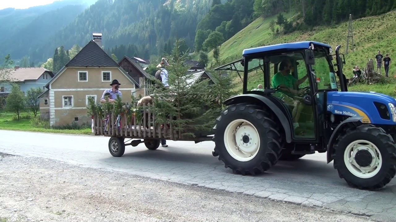 Almabtrieb Hinterradmer 2016