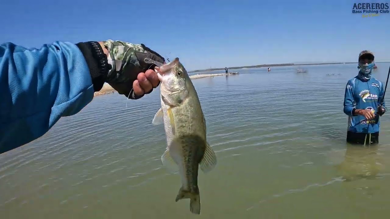 De orilla en la Presa El Cuchillo. Ep. 43 Acereros Bass.