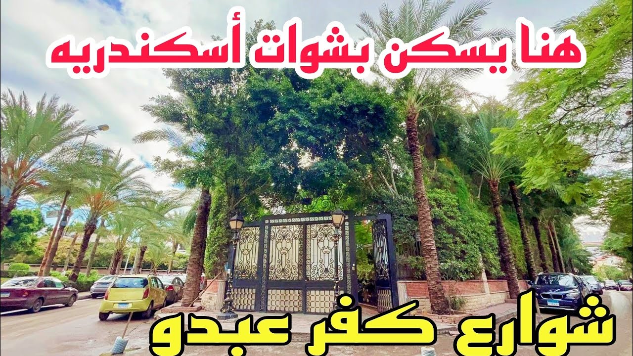 جوله في منطقه كفر عبدو بالاسكندريه🌷🌷🌷