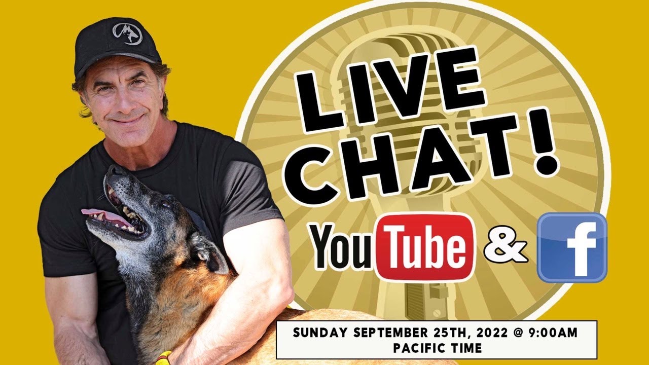 Dog Training LIVE Q&A