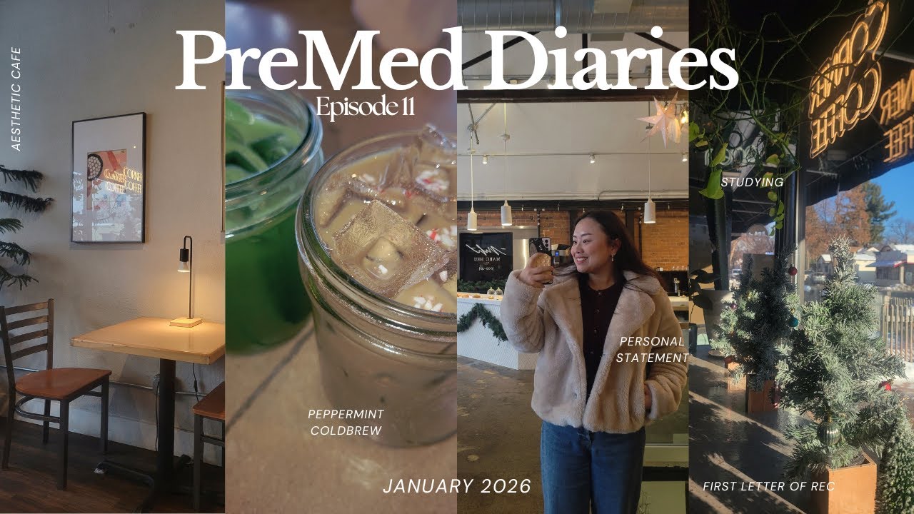 PreMed Diaries 11 | Letters of Rec, Studying, Personal Statement 
