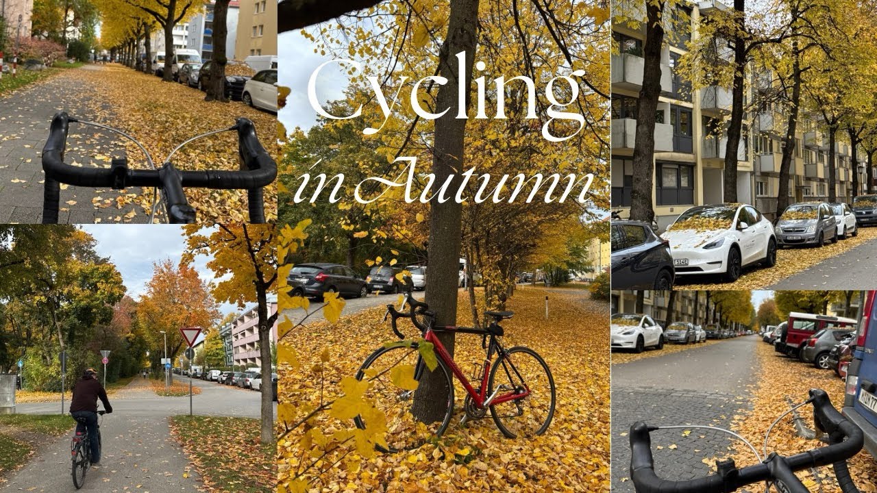 Virtual Bike Ride Through Autumn in Munich | Scenic Bike Ride #cycling #autumn #outdoors 