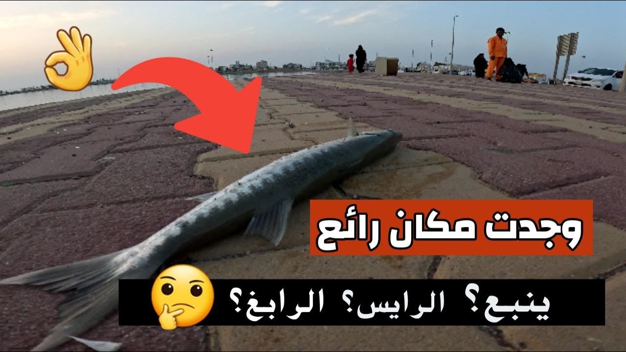 مكان رائع لصيد السمك  في السعودية 🐟🎣(🔍العمق اقل من متر ما تتوقع تصيد)