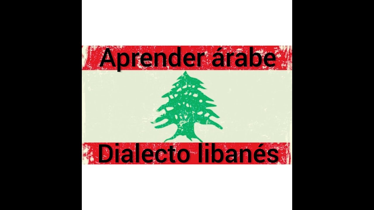 Aprender &aacute;rabe liban&eacute;s , con el alfabeto latin, f&aacute;cil y r&aacute;pido.
