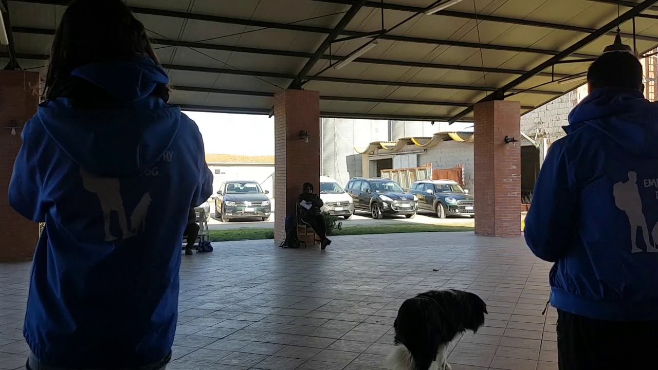 Benvenuti al EmpathyDOG  Stage Tour!