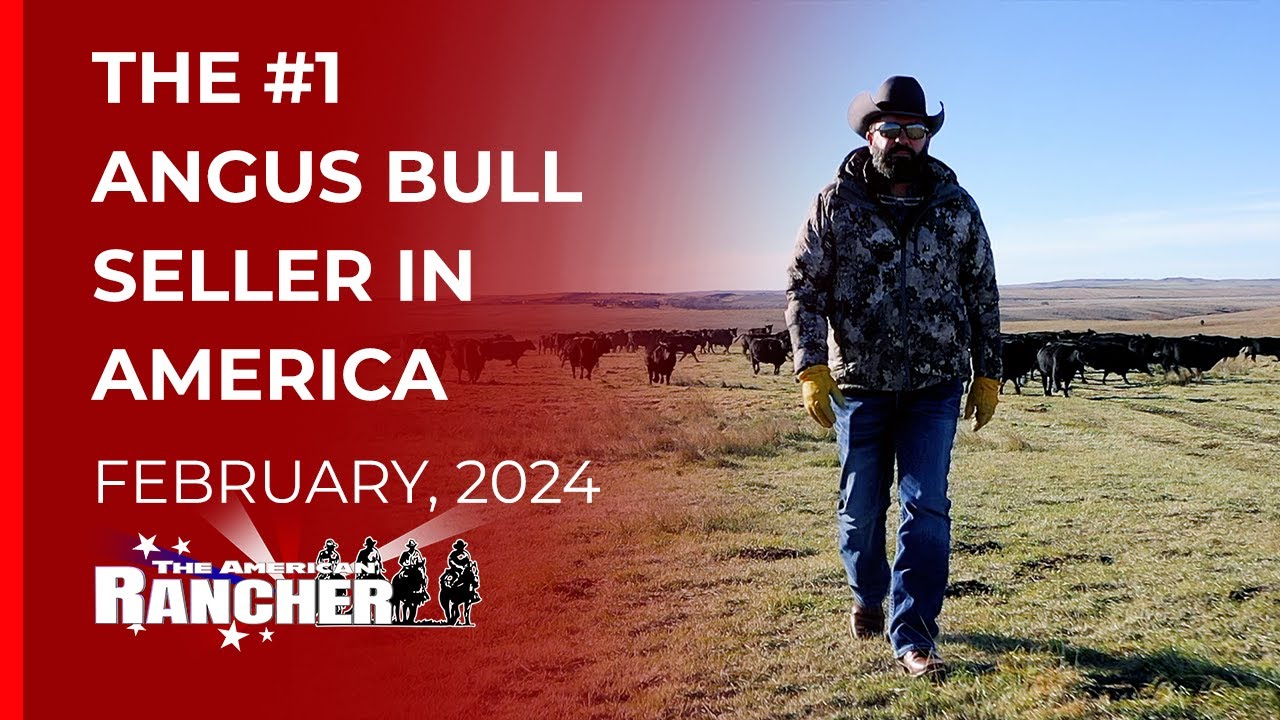 Jorgensen Land & Cattle | Американский ранчер