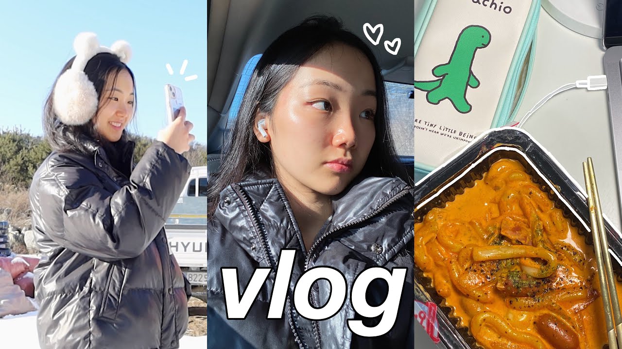 vida na coreia | vlog: dia simples em casa, viajando com a família antes de ir para facul, estudando