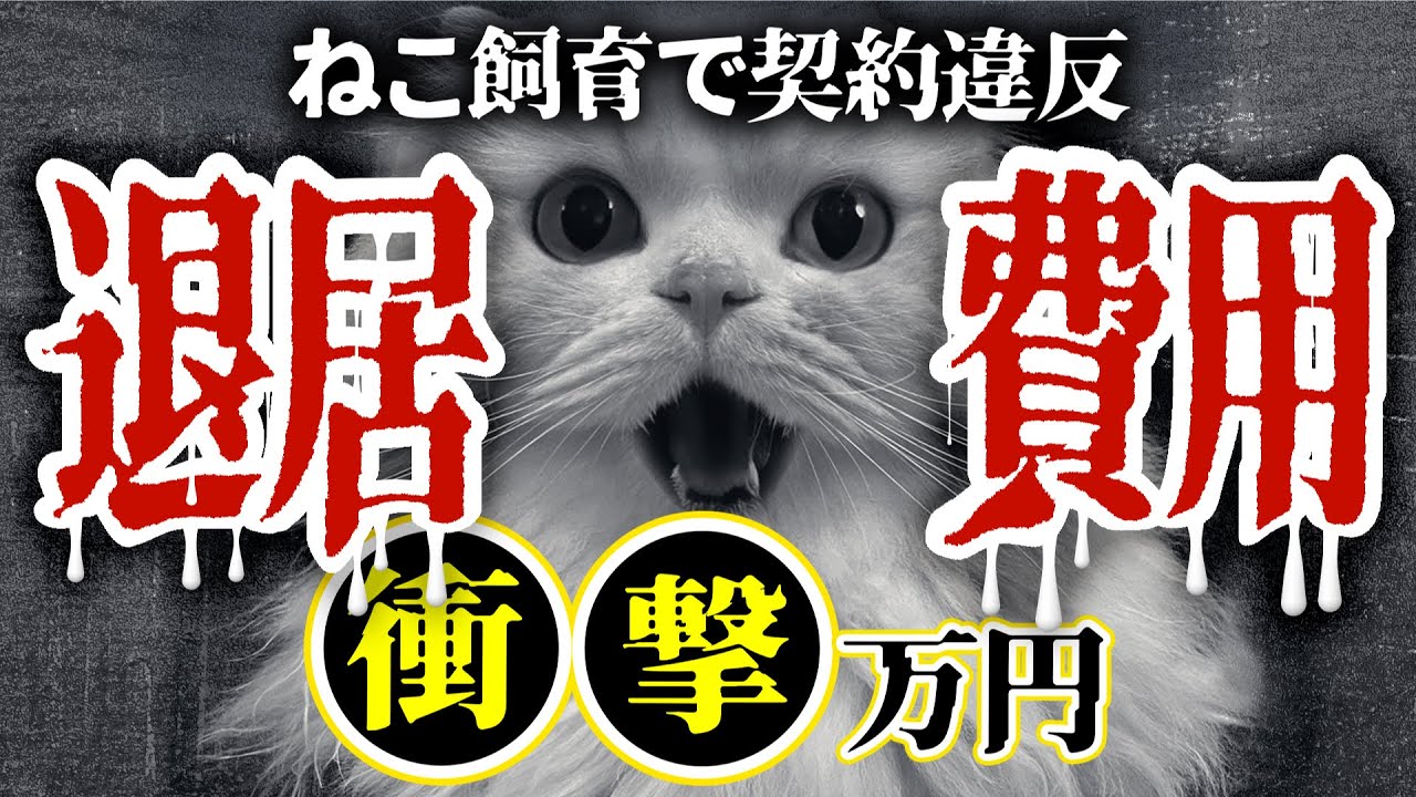【知らないと怖い】ペット禁止物件の退去費用！犬猫不可の賃貸住宅で予想外の出費