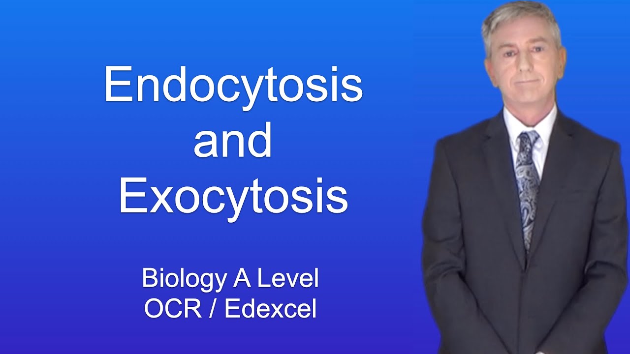 A Level Biology Revision 