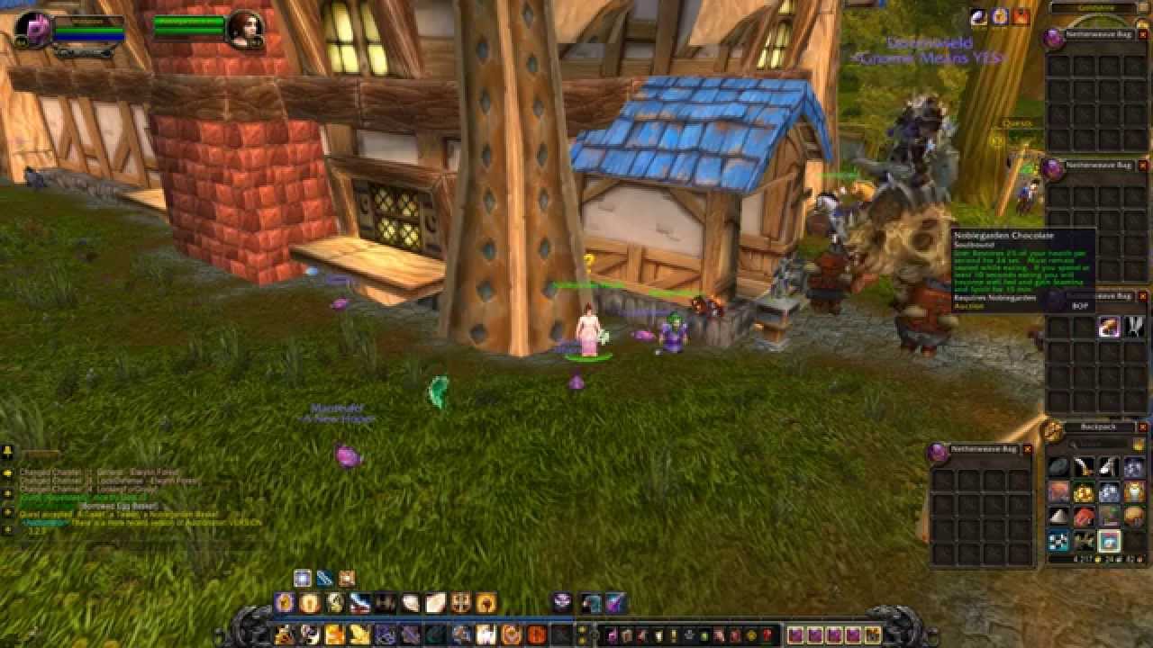 Noblegarden, Quest 3: A Tisket, a Tasket, a Noblegarden Basket (WoW, human, paladin)