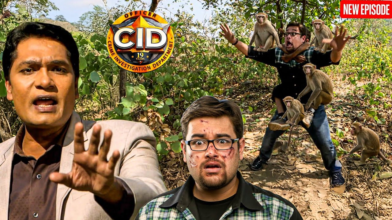 Pankaj के ऊपर जंगली बंदरो ने किया हमला , काट काट कर सुजाया मुहं || CID | Latest Episode ||