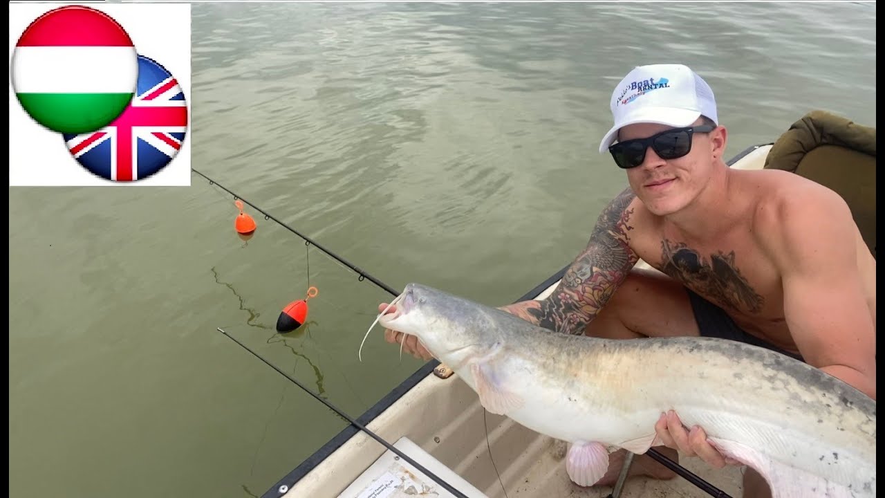 AMATŐR Balatoni kuttyogatás- Amateur catfishing with clonk in Balaton