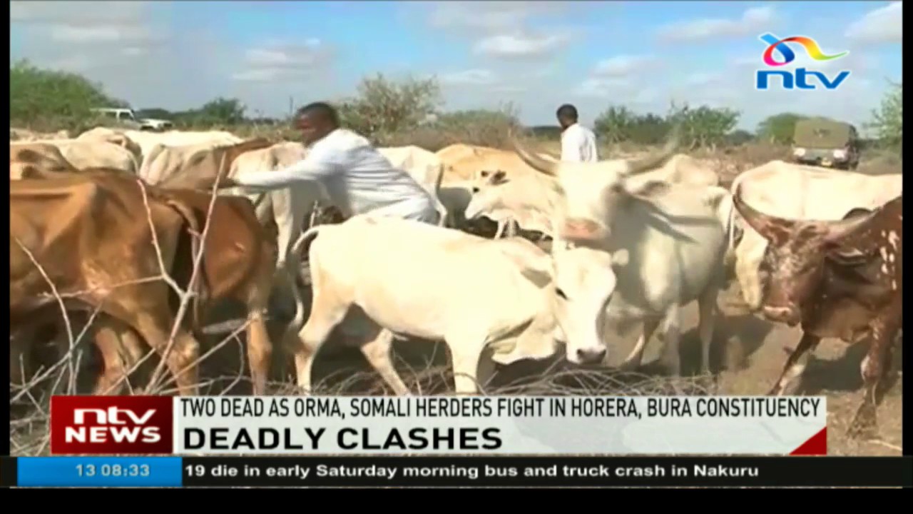 Two dead as Orma, Somali herders fight in Horera, Bura constituency