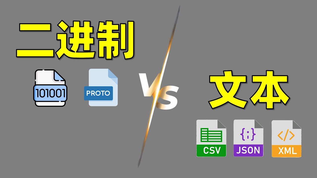 为什么文本并不是万能的数据编码方式【让编程再次伟大#18】