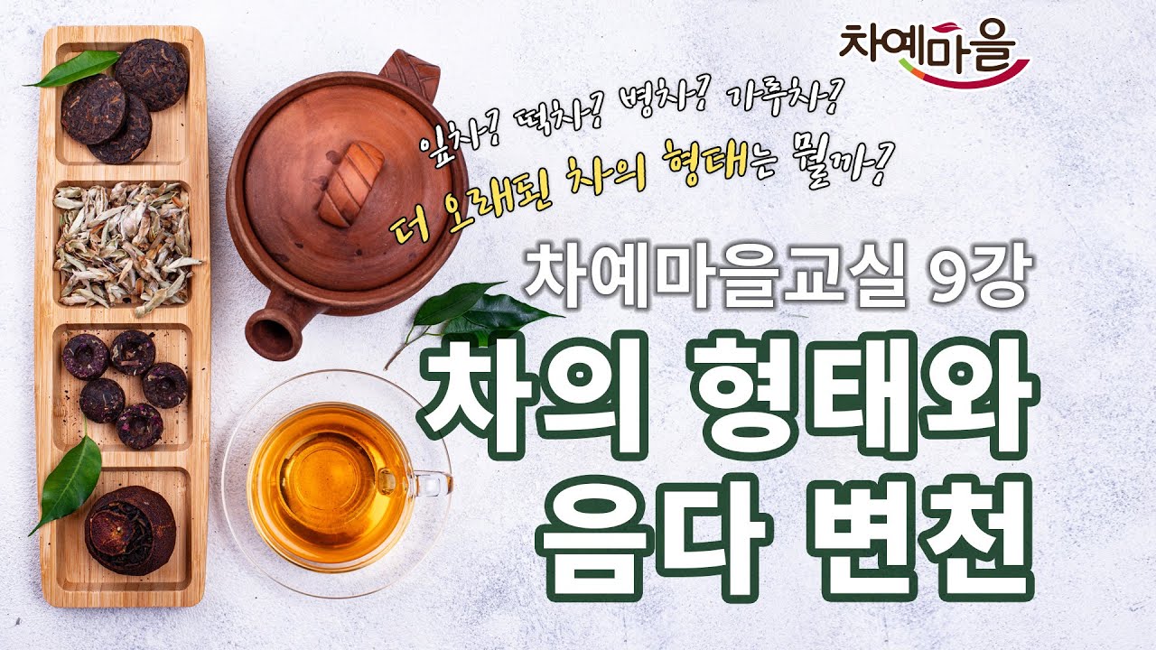 차(茶), 어디까지 알고계세요? 차 형태와 음다변천, 쉿! 이 강의만 보면 차인(茶人) 인 줄 알아요! ｜ 차예마을교실 제 9강