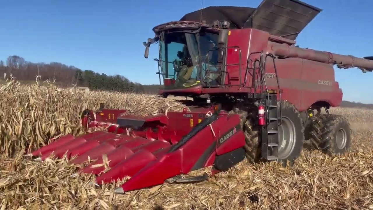 Harvesting Corn on the Family Farm!