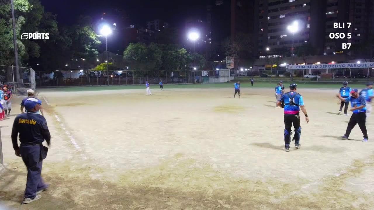 BLINDADOS VS OSOS