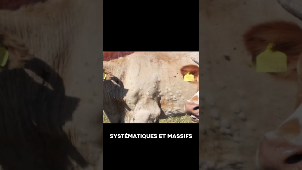 #Agriculture