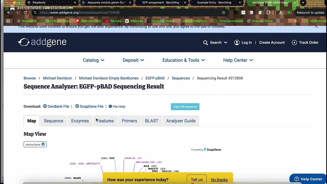 Introduction to Benchling