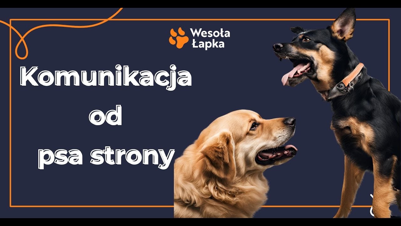 Komunikacja od psa strony