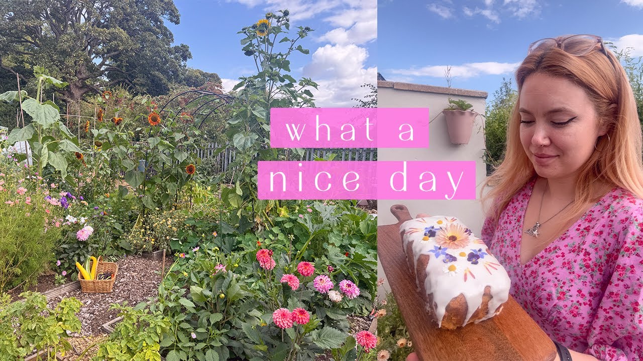 August Harvests & Making Courgette Cake | Allotment Vlog Ep.69