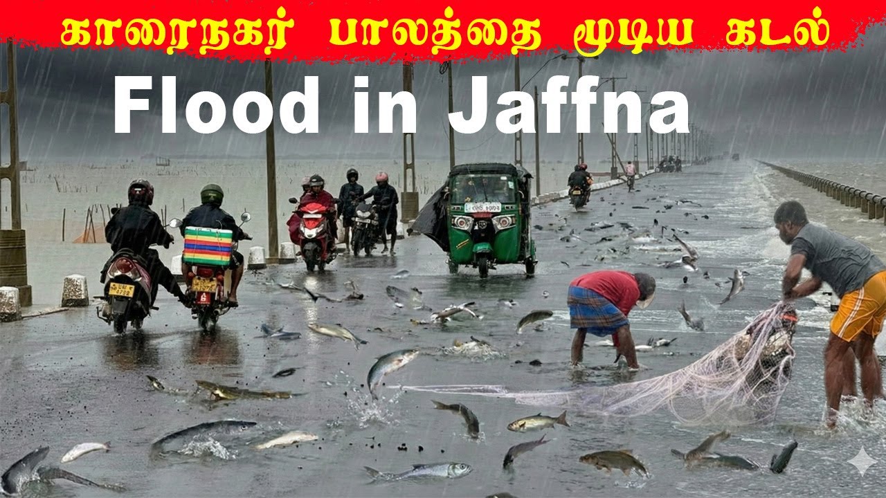 யாழில் புயலில் மாட்டிவிட்டோம் | Flood in jaffna | Jaffna  youtubers