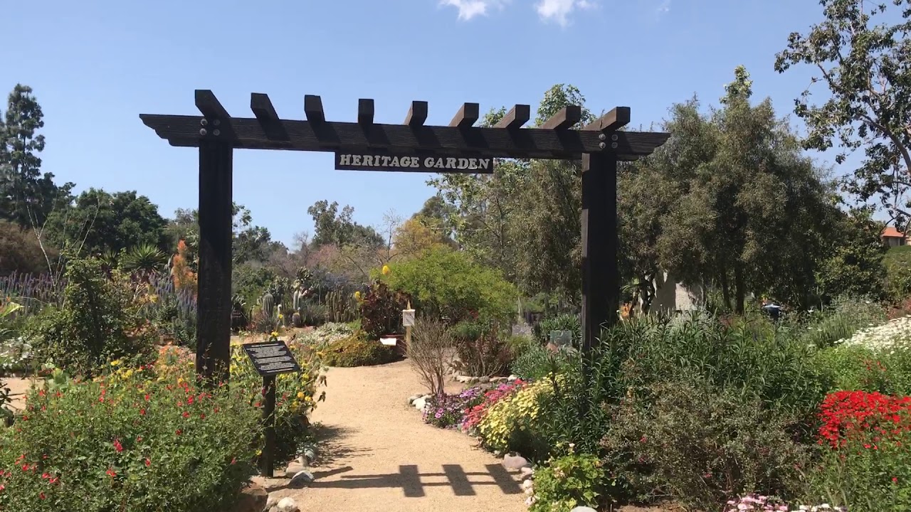 Patrick Schwier Property Preview: Casta Del Sol - 55+ - great grounds to live in