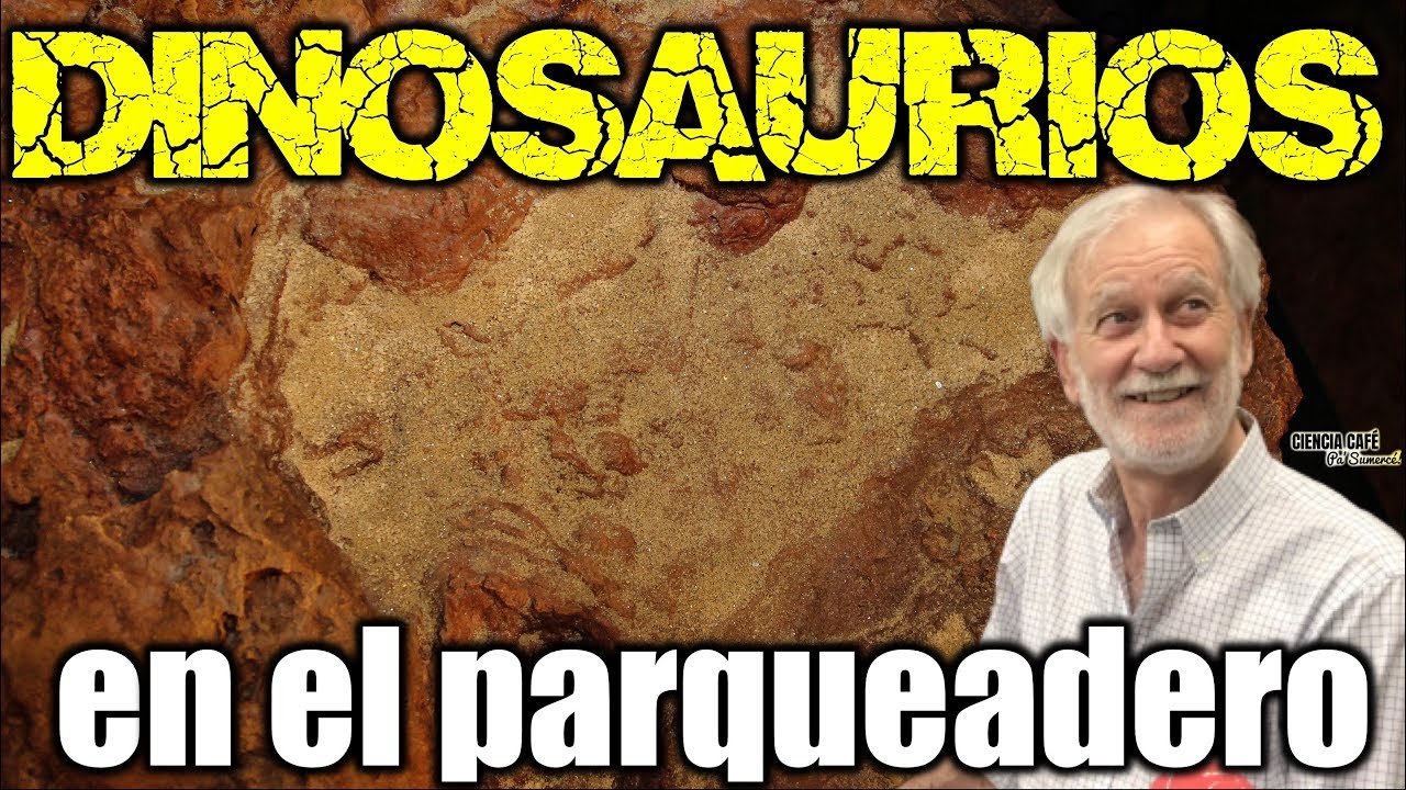 Escena de un crimen de hace 100 millones de años!