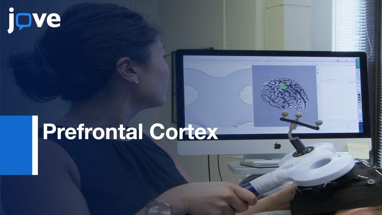 Magnetic Stimulation and EEG of Prefrontal Cortex | Protocol Preview
