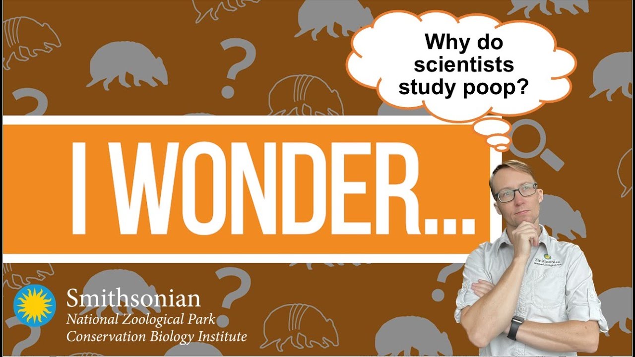 I Wonder - Why do scientists study poop?