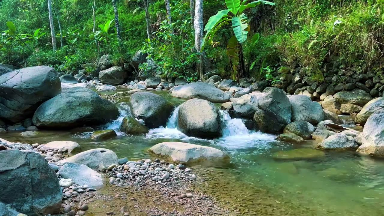 Forest Stream Soundscape | Gentle River Flow for Sleep, Meditation & Mindful Rest