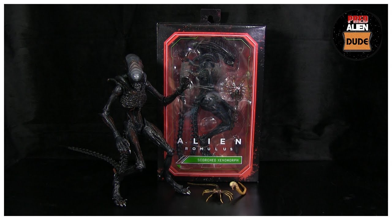 NECA Toys Alien: Romulus Scorched Xenomorph Review