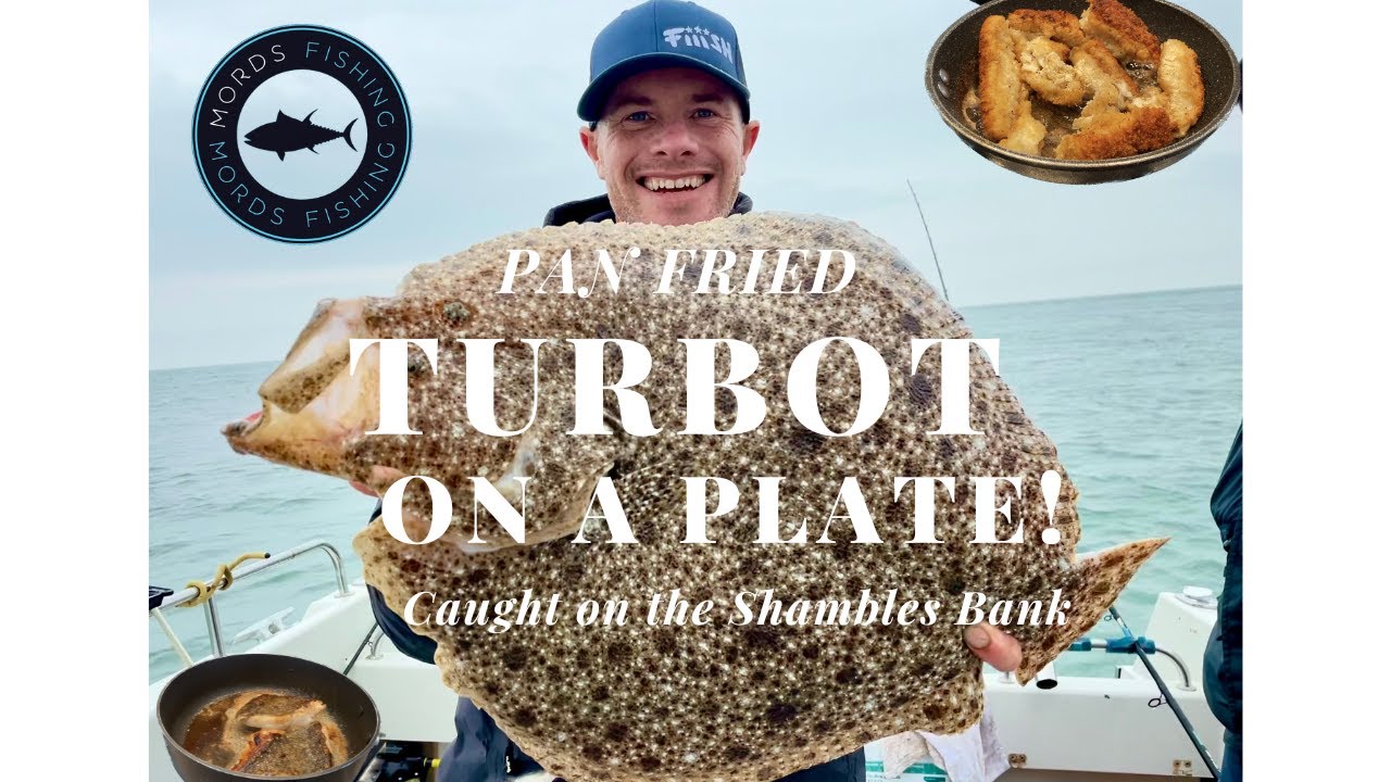 Pan Fried BIG TURBOT Caught Fishing on the Shambles Bank