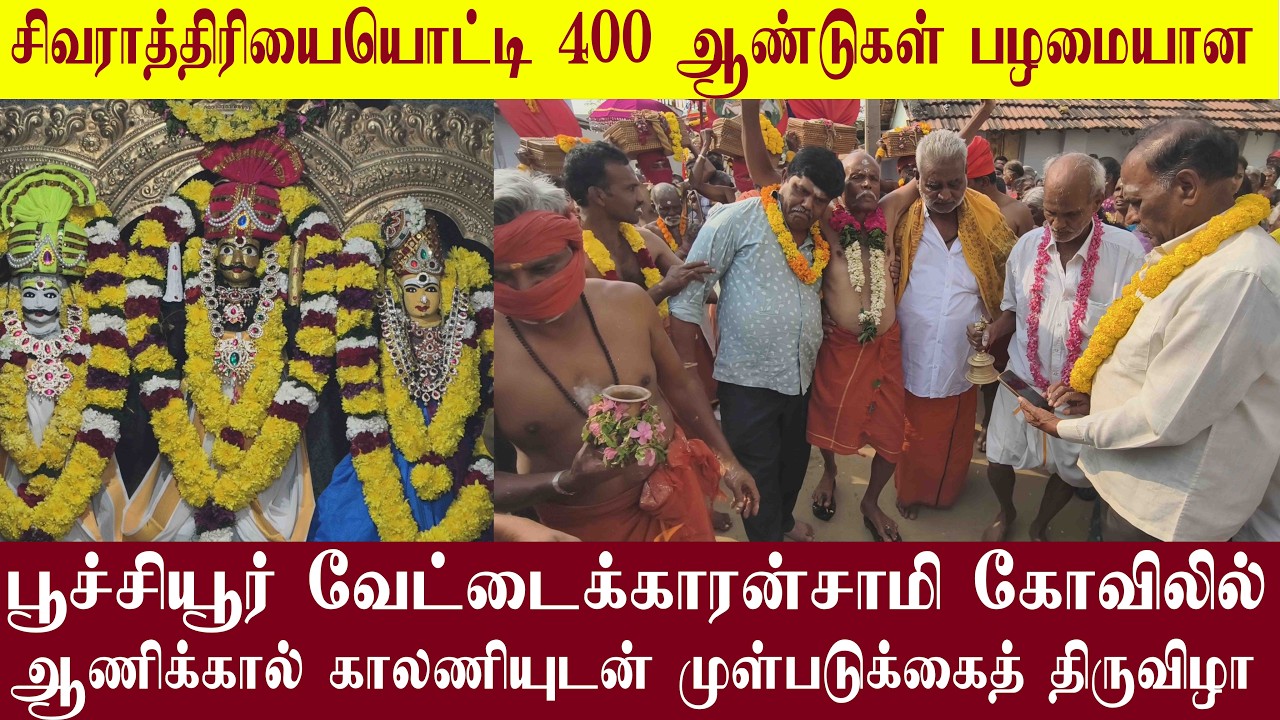 பூச்சியூர் வேட்டைக்காரன்சாமி கோவிலில் ஆணிக்கால் காலணியுடன் முள்படுக்கைத் திருவிழா