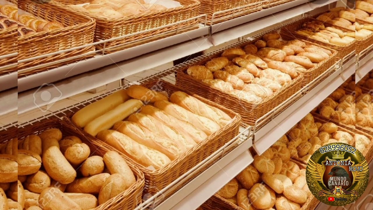 *canarios* 🐦 ♦Pan ♦🍴 para nuestros pajaros 🤙