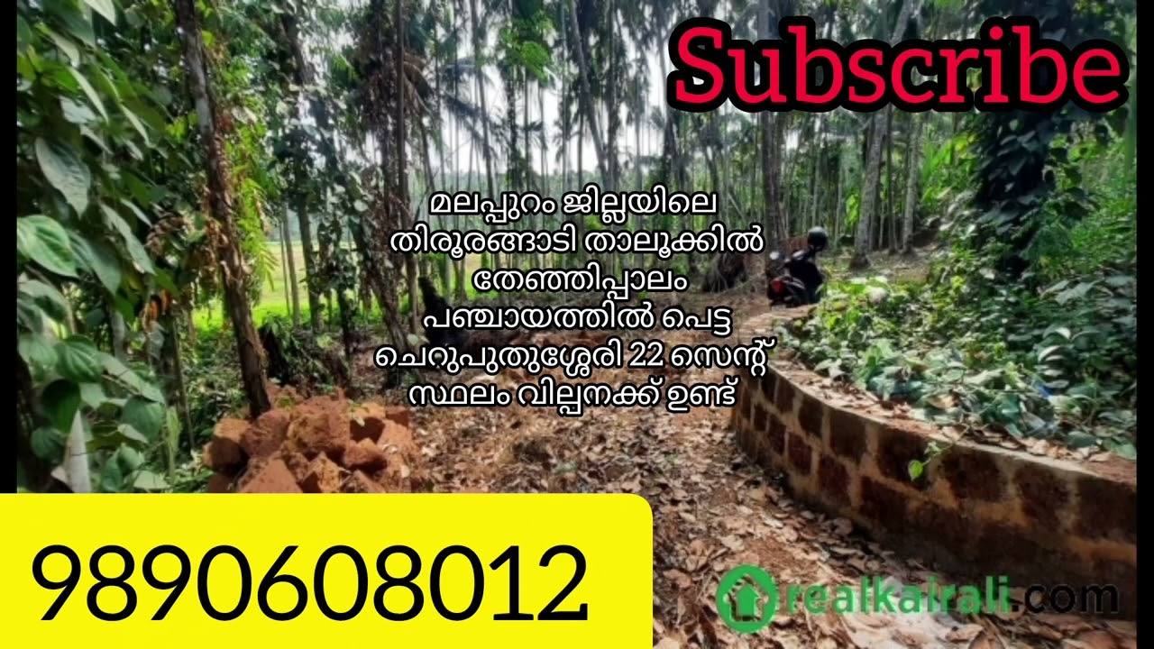 ചെറുപുതുശ്ശേരി സ്ഥലം വില്പനക്ക് 