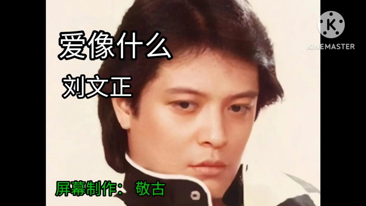 AI XIANG SHEN ME  KARAOKE NO VOCAL 爱像什么 卡拉OK _ ai xiang shen me - Karaoke  刘文正 karaoke